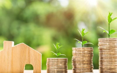 Cómo Ahorrar en Energía y Ser Más Sostenible: Consejos Clave para tu Empresa